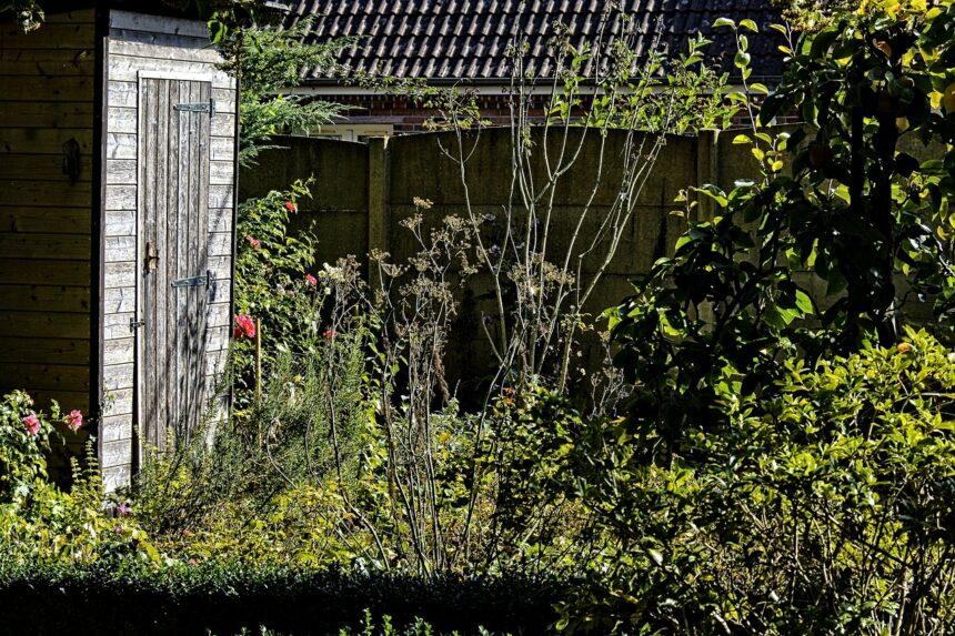 cabane de jardin en bois