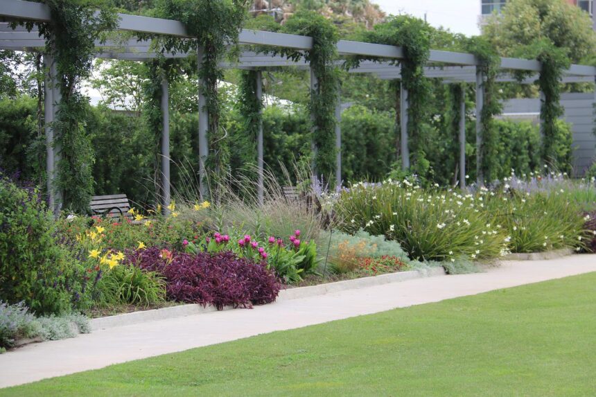pergola bioclimatique en bois