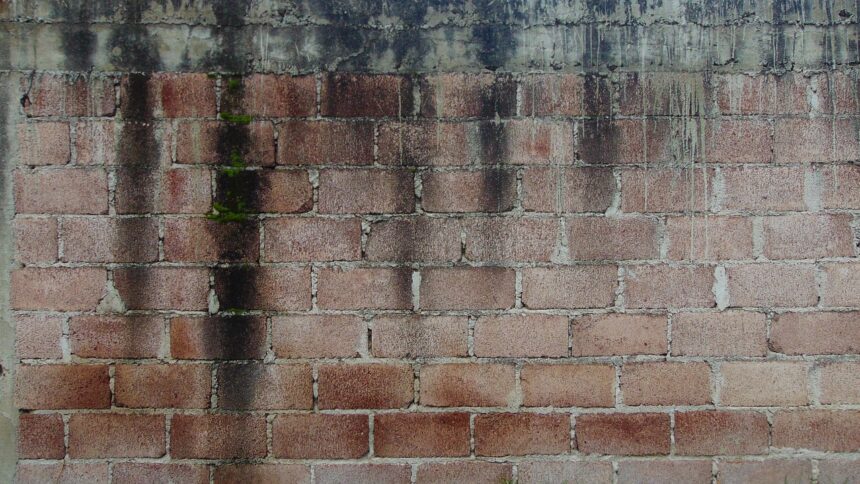 infiltration d'eau sur un mur