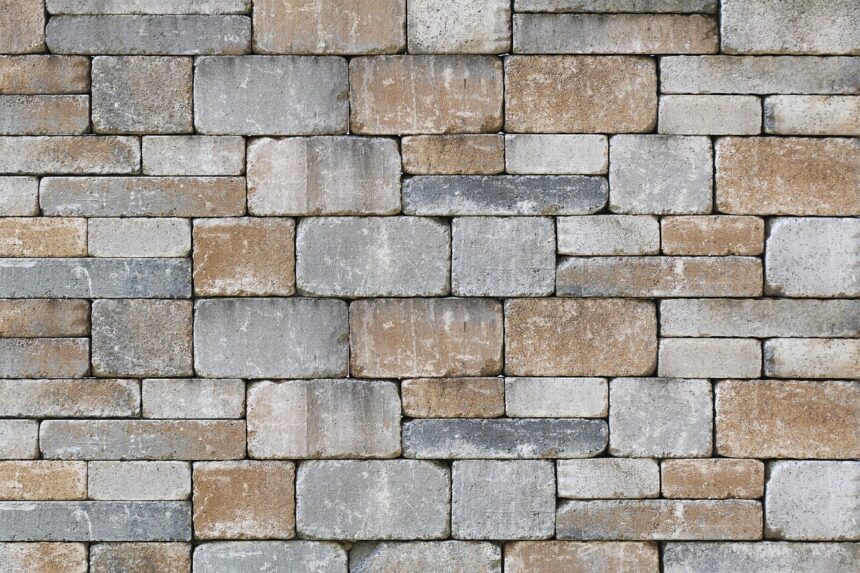 embellir mur du voisin