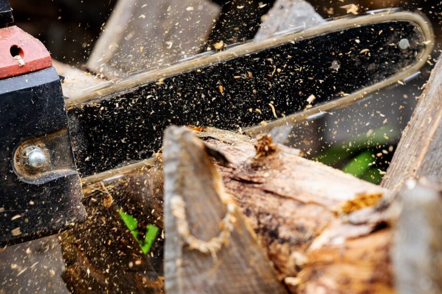tronçonneuse pour jardin