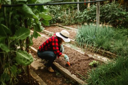 vente de terre végétale autour de moi
