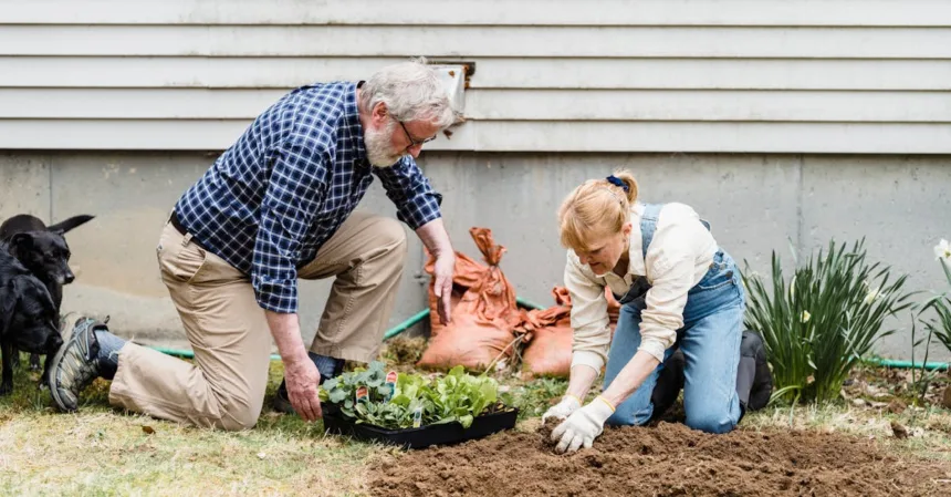 découvrez les meilleures techniques de préparation du sol pour garantir une récolte abondante. apprenez à optimiser la structure de votre terre, à améliorer sa fertilité et à assurer une bonne aération pour un jardinage réussi.