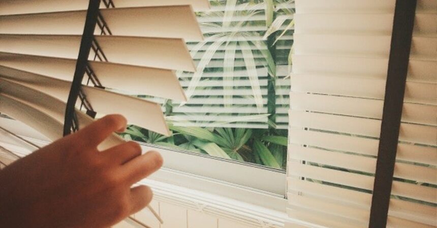 découvrez comment ajuster vos fenêtres en pvc pour améliorer l'isolation et l'étanchéité de votre maison. suivez nos conseils pratiques et astuces pour garantir un fonctionnement optimal et prolonger la durée de vie de vos fenêtres.