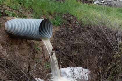 découvrez tout ce qu'il faut savoir sur les drains : leur fonctionnement, les différents types disponibles, ainsi que des conseils pour leur installation et leur entretien. optimisez votre drainage avec nos astuces pratiques.