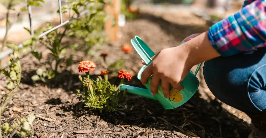 découvrez les principes du jardinage durable pour créer un espace vert respectueux de l'environnement. apprenez des techniques écologiques qui favorisent la biodiversité, réduisent les déchets et préservent les ressources naturelles, tout en cultivant des plantes saines et productives.