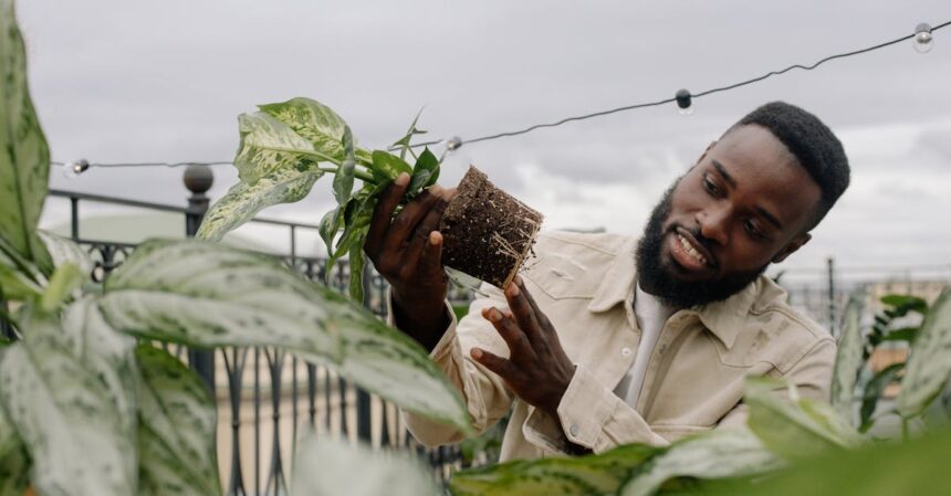 découvrez l'urban gardening : une pratique innovante qui transforme les espaces urbains en jardins luxuriants. apprenez comment cultiver des plantes, des légumes et des fleurs en milieu citadin, tout en contribuant à l'environnement et à votre bien-être.