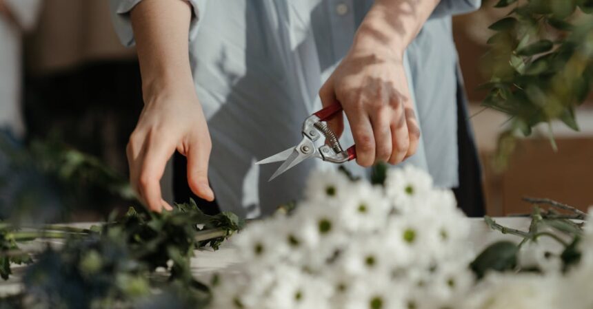 découvrez l'art de la taille des plantes avec nos conseils pratiques sur le pruning. apprenez les techniques essentielles pour entretenir vos arbustes et arbres, améliorer leur croissance et stimuler la floraison. transformez votre jardin en un espace luxuriant grâce à des méthodes de taille adaptées !