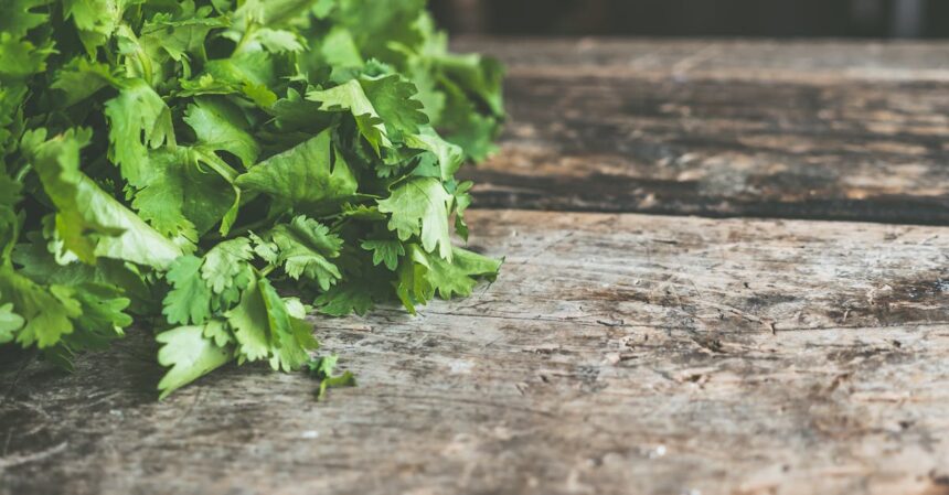 découvrez comment créer et entretenir un jardin potager réussi, où vous pourrez cultiver vos propres légumes frais et savoureux. apprenez des techniques de jardinage adaptées à tous les niveaux, des conseils pour choisir les meilleures variétés et des astuces pour maximiser le rendement de votre espace.
