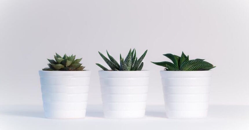 découvrez l'univers fascinant des plantes : bienfaits, variétés, conseils d'entretien et astuces pour créer un espace vert harmonieux chez vous.