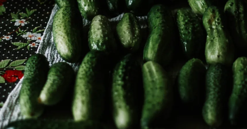 découvrez l'art du jardinage potager : astuces pour cultiver vos propres légumes, choisir les meilleures semences, et profiter d'une récolte abondante tout en respectant l'environnement.
