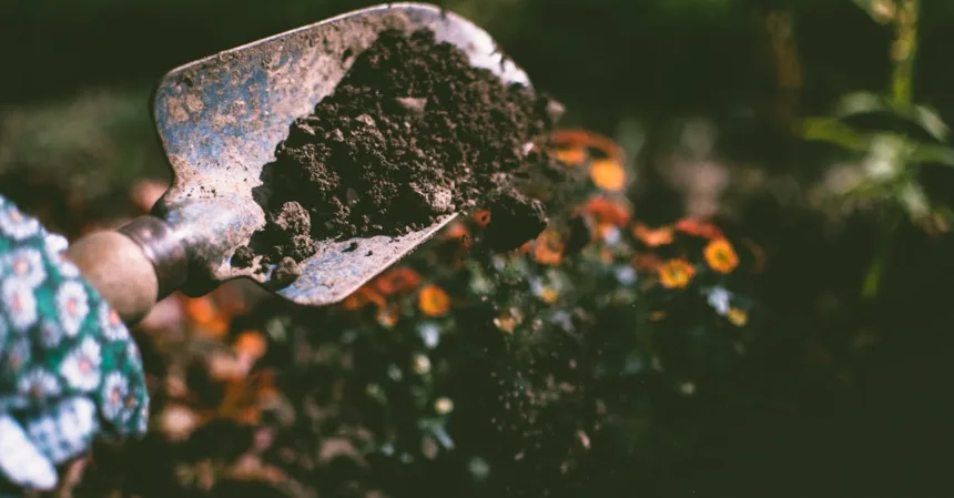 découvrez l'art du jardinage avec nos conseils pratiques, astuces et inspirations pour créer un espace vert magnifique et épanouissant. que vous soyez débutant ou expert, trouvez des techniques et des idées pour faire fleurir votre passion et embellir votre jardin.
