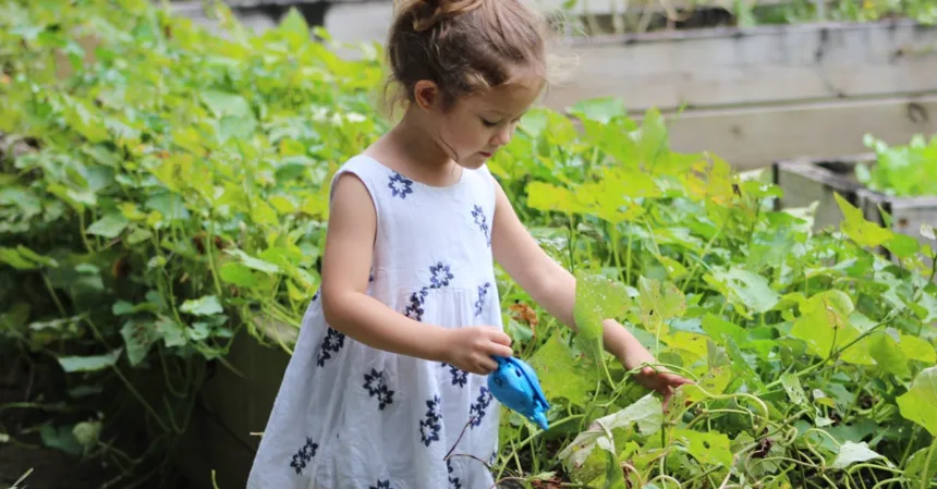découvrez l'art du jardinage : conseils pratiques, astuces de culture et inspirations pour créer un espace vert florissant chez vous. que vous soyez débutant ou expert, trouvez tout ce qu'il vous faut pour faire prospérer vos plantes.