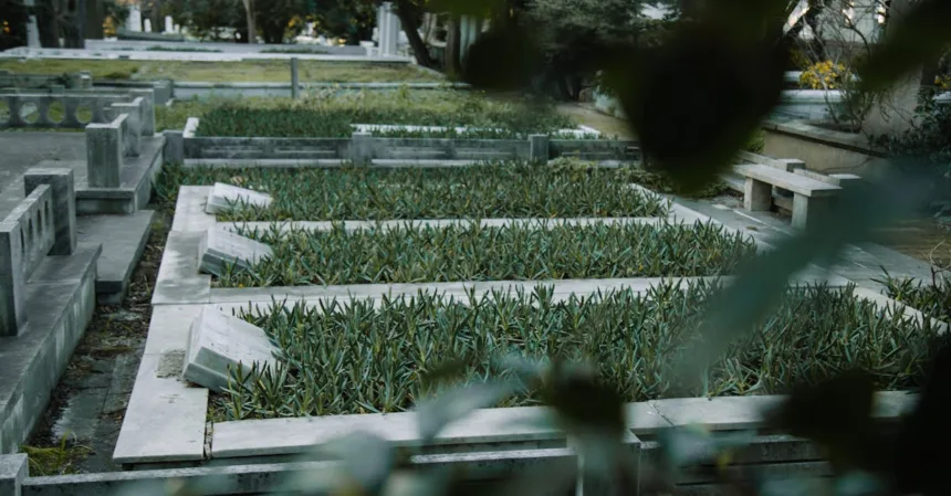 découvrez les plantes idéales pour transformer votre espace en un véritable havre de paix. que vous soyez passionné de jardinage ou novice, notre sélection de plantes adaptées à chaque environnement vous permettra de créer une ambiance naturelle et apaisante.