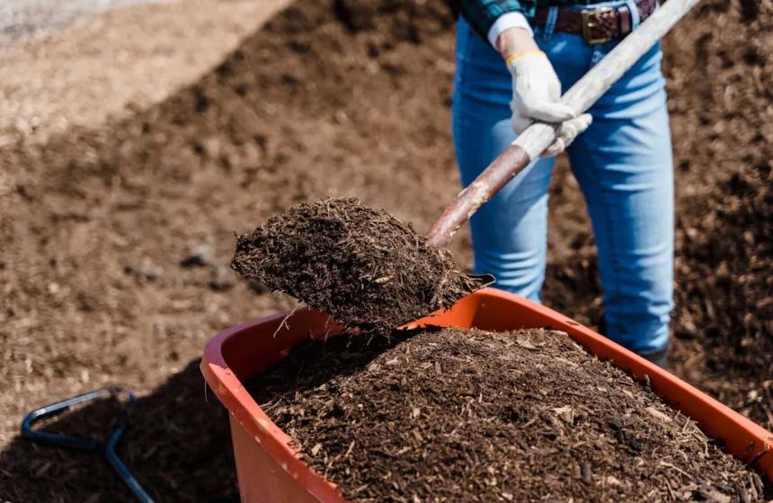 compost