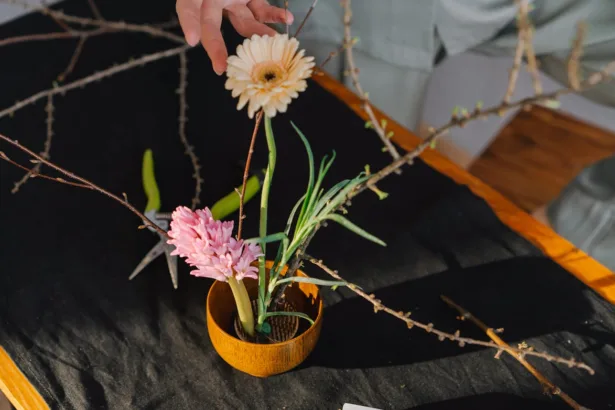 décoration de maison tendance