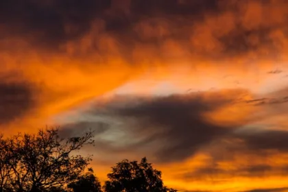 découvrez 'brilliant', une plateforme innovante qui transforme l'apprentissage en ligne en une expérience interactive et captivante. explorez des cours variés, développez vos compétences et atteignez vos objectifs personnels et professionnels grâce à des méthodes d'enseignement engageantes.