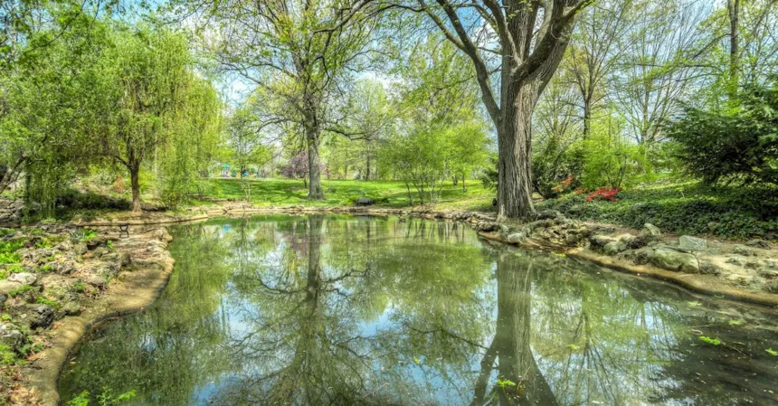 découvrez willow, une expérience unique alliant nature et sérénité. explorez nos services, produits et conseils pour un mode de vie inspiré par la sagesse des saules. plongez dans un univers où bien-être et harmonie se rencontrent.