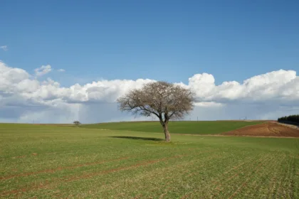 découvrez notre testeur de sol, un outil essentiel pour analyser et améliorer la qualité de votre terre. idéal pour les jardiniers et agriculteurs, il vous permet de comprendre les besoins en nutriments de vos plantes et d'optimiser vos récoltes.