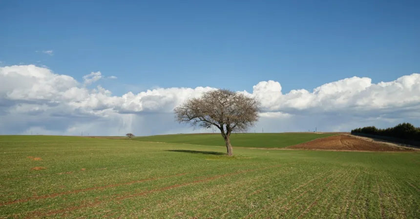découvrez notre testeur de sol, un outil essentiel pour analyser et améliorer la qualité de votre terre. idéal pour les jardiniers et agriculteurs, il vous permet de comprendre les besoins en nutriments de vos plantes et d'optimiser vos récoltes.