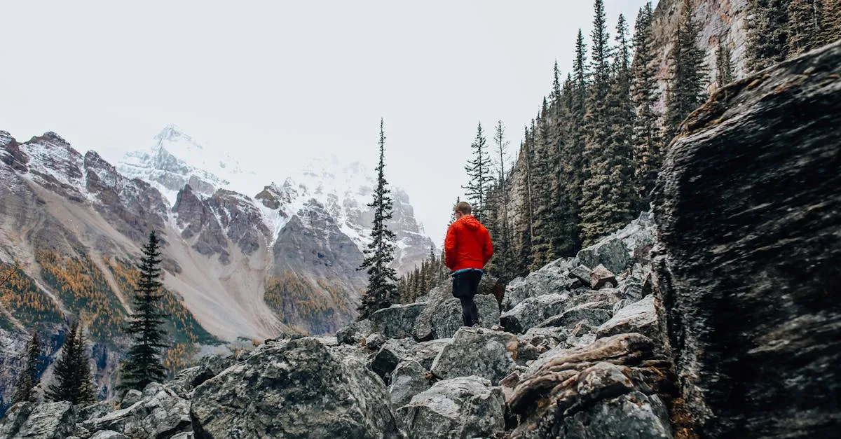 découvrez les dernières tendances et actualités sur le concept d'area : un espace qui allie fonctionnalité et esthétique pour améliorer votre quotidien. explorez les différentes utilisations et aménagements d'area dans divers domaines.