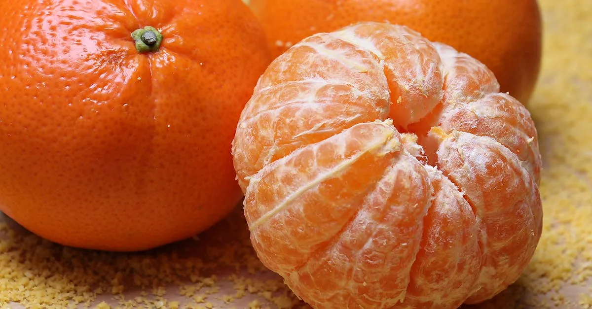 découvrez la richesse des fruits : des délices sucrés et savoureux qui apportent vitalité et fraîcheur à votre alimentation. explorez les bienfaits nutritionnels et les variétés infinies de ces trésors naturels.