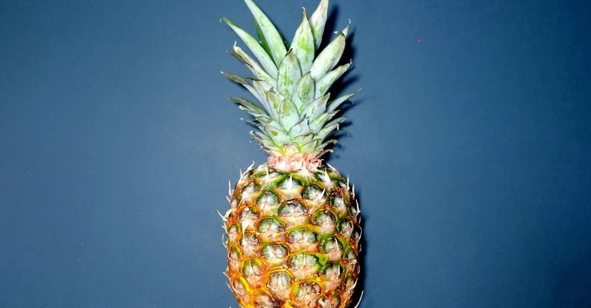 découvrez le monde des fruits, riches en saveurs et en nutriments. apprenez à sélectionner, conserver et déguster ces délices naturels pour une alimentation saine et équilibrée.