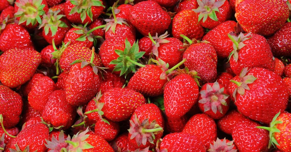 découvrez les bienfaits des fruits pour votre santé et votre bien-être. apprenez à intégrer une variété colorée de fruits dans votre alimentation quotidienne, tout en explorant leurs saveurs uniques et leurs vertus nutritionnelles.