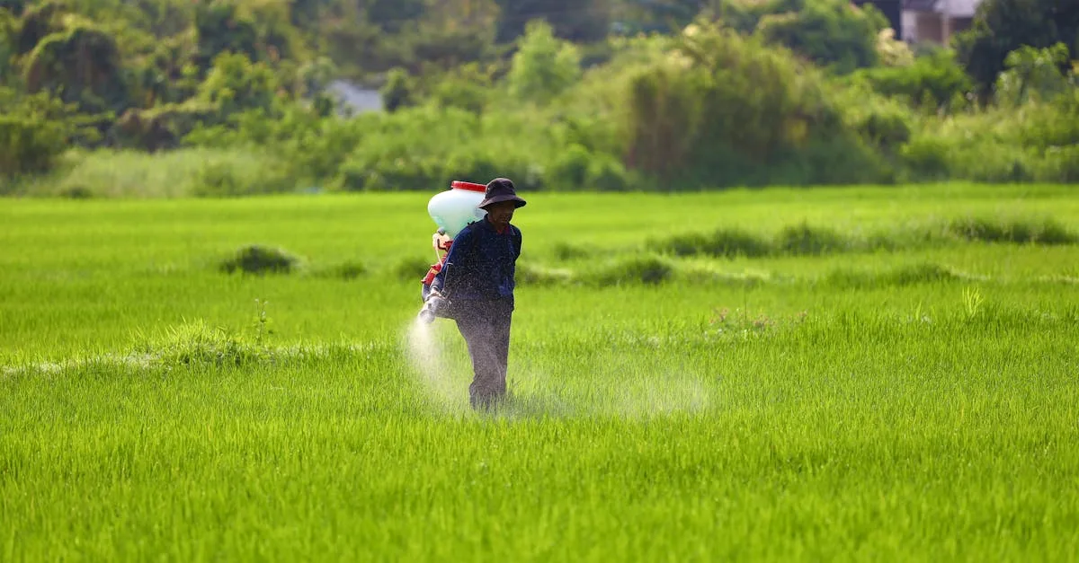découvrez les avantages des herbicides naturels pour un jardinage écologique. protégez vos plantes tout en respectant l'environnement grâce à des solutions efficaces et durables.