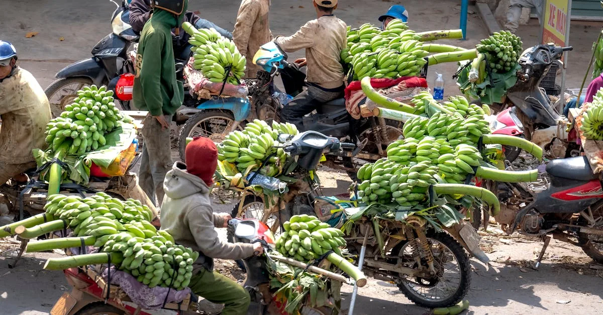 découvrez les bienfaits des fruits avec z fruits, votre source de recettes saines, conseils nutritionnels et astuces pour intégrer plus de fruits dans votre alimentation quotidienne. savourez des saveurs fraîches et colorées tout en prenant soin de votre santé.