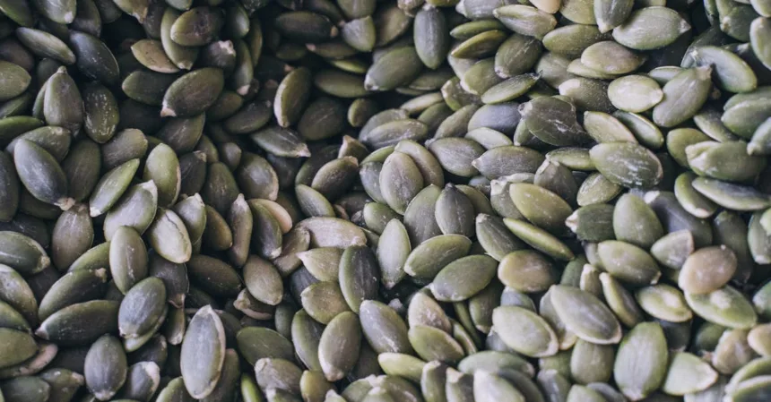 découvrez les bienfaits du zinc, un nutriment essentiel pour votre santé. apprenez comment il soutient le système immunitaire, favorise la cicatrisation et contribue à la santé de la peau, ainsi que les meilleures sources alimentaires pour l'obtenir.