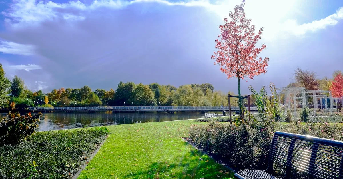 découvrez des idées créatives et durables pour l'aménagement paysager de votre espace extérieur. transformez votre jardin en un havre de paix grâce à nos conseils, astuces et inspirations de professionnels.