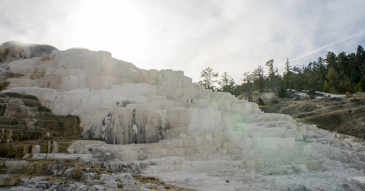 découvrez toutes les caractéristiques du travertine, une pierre naturelle prisée pour son esthétique unique et sa durabilité. apprenez comment l'utiliser dans vos projets de construction et de décoration intérieure.