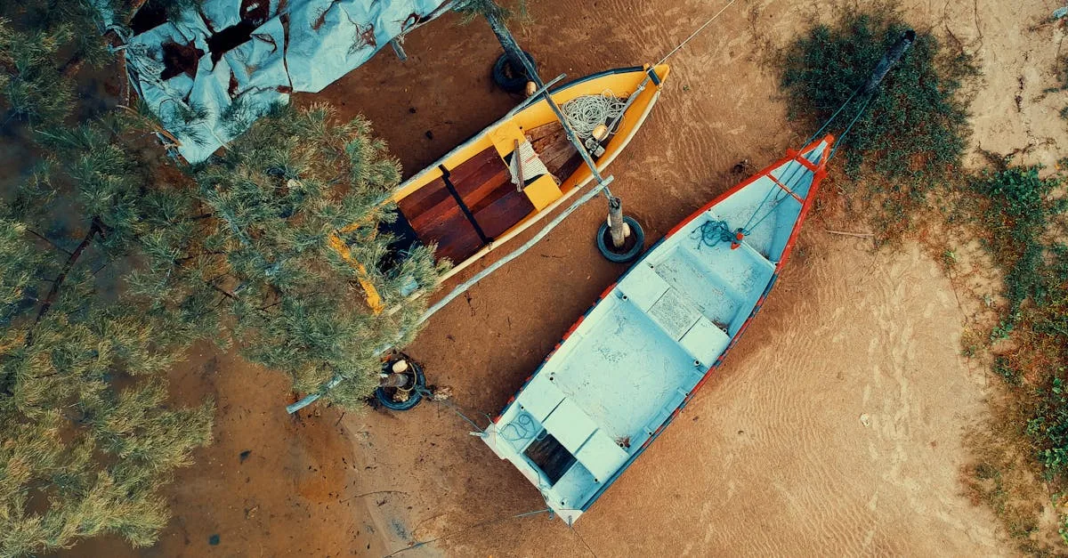 découvrez les enjeux et les techniques de la restauration des arbres, un processus essentiel pour préserver notre environnement et favoriser la biodiversité. apprenez comment contribuer à la régénération des forêts et à la lutte contre le changement climatique.