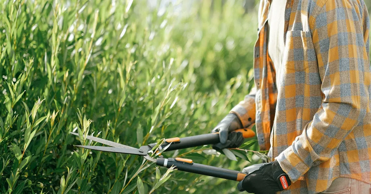 découvrez les meilleures techniques de taille des noyers pour optimiser leur croissance et leur production. apprenez à élaguer vos noisetiers pour favoriser une récolte abondante et saine tout en préservant la santé de vos arbres.