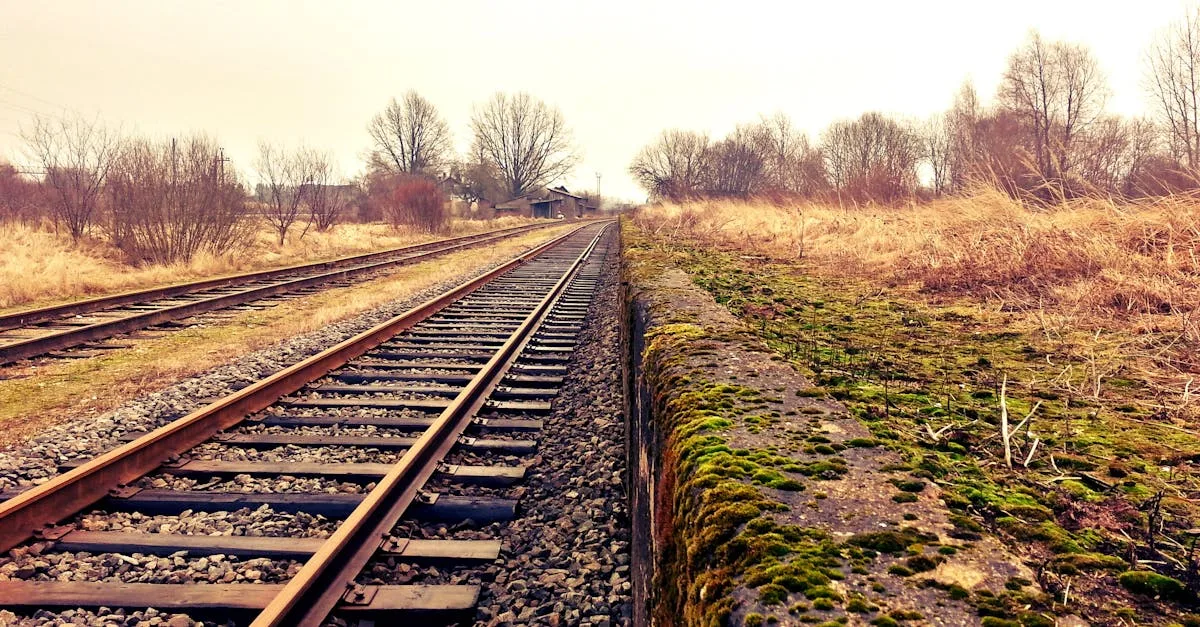 découvrez tout sur les traverses de chemin de fer : leur utilisation, leur durabilité et comment elles peuvent embellir vos projets d'aménagement paysager. explorez les avantages et les conseils d'utilisation pour ces matériaux robustes et écologiques.