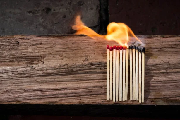 découvrez les dangers potentiels de la laine de bois, ses effets sur la santé et les précautions à prendre lors de son utilisation. informez-vous sur les risques liés à cette matière naturelle pour un usage en toute sécurité.