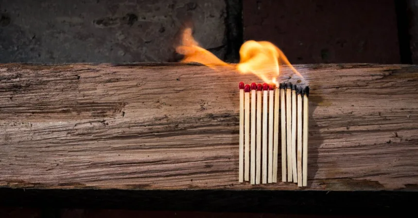 découvrez les dangers potentiels de la laine de bois, ses effets sur la santé et les précautions à prendre lors de son utilisation. informez-vous sur les risques liés à cette matière naturelle pour un usage en toute sécurité.