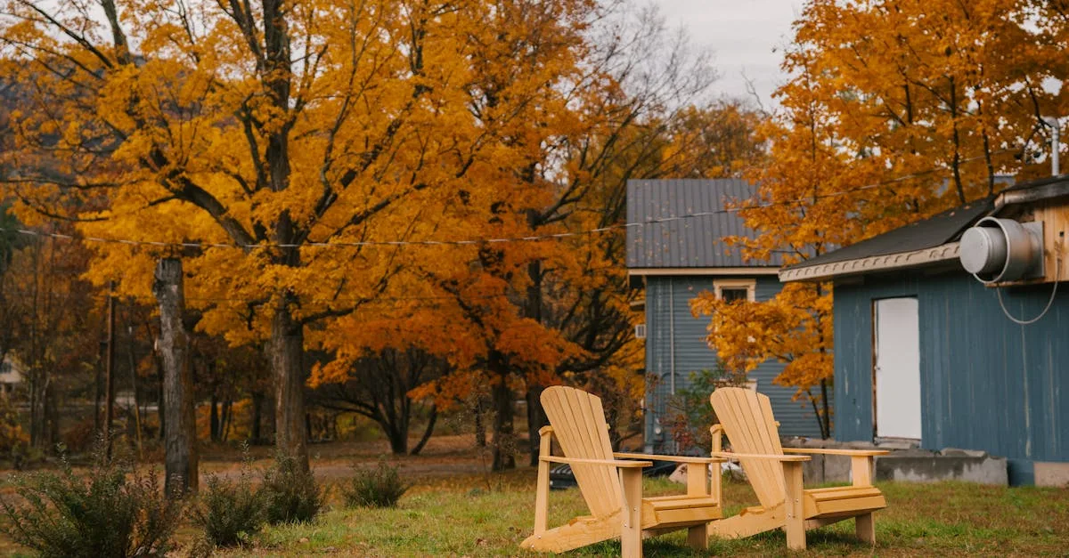 découvrez l'authenticité et le confort de la chaise adirondack, un meuble emblématique inspiré de la nature. idéale pour votre jardin ou terrasse, elle offre un style élégant tout en garantissant un moment de détente optimal. plongez dans l'univers du design extérieur avec cette chaise classique qui allie rusticité et convivialité.