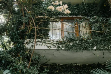 découvrez une sélection de plantes grimpantes idéales pour embellir vos murs, balcons ou jardins. conseils d'entretien, variétés populaires et astuces pour bien les cultiver et profiter d'une végétation luxuriante toute l'année.