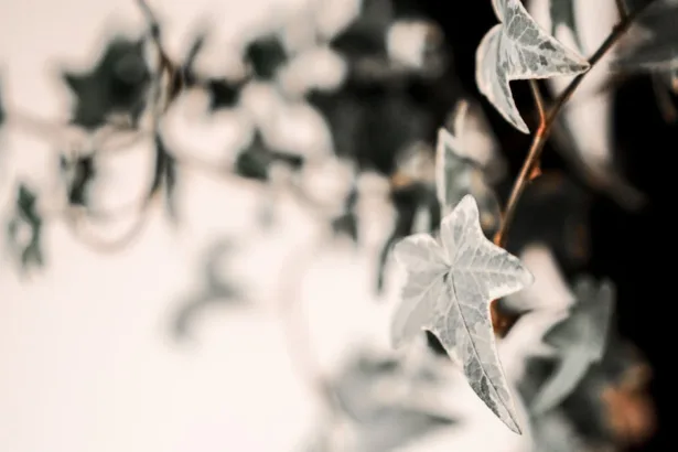 découvrez comment aménager un jardin vertical d'intérieur pour embellir votre espace, purifier l'air et cultiver des plantes toute l'année de manière innovante et décorative.