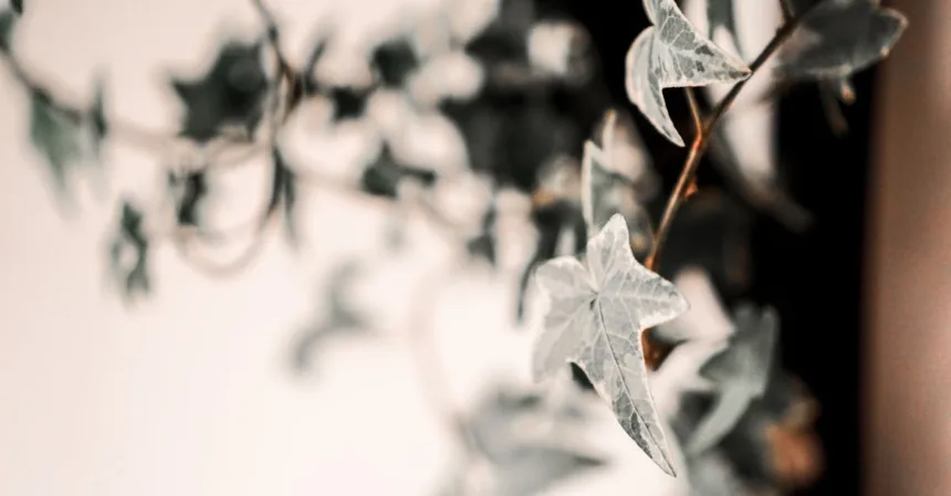 découvrez comment aménager un jardin vertical d'intérieur pour embellir votre espace, purifier l'air et cultiver des plantes toute l'année de manière innovante et décorative.