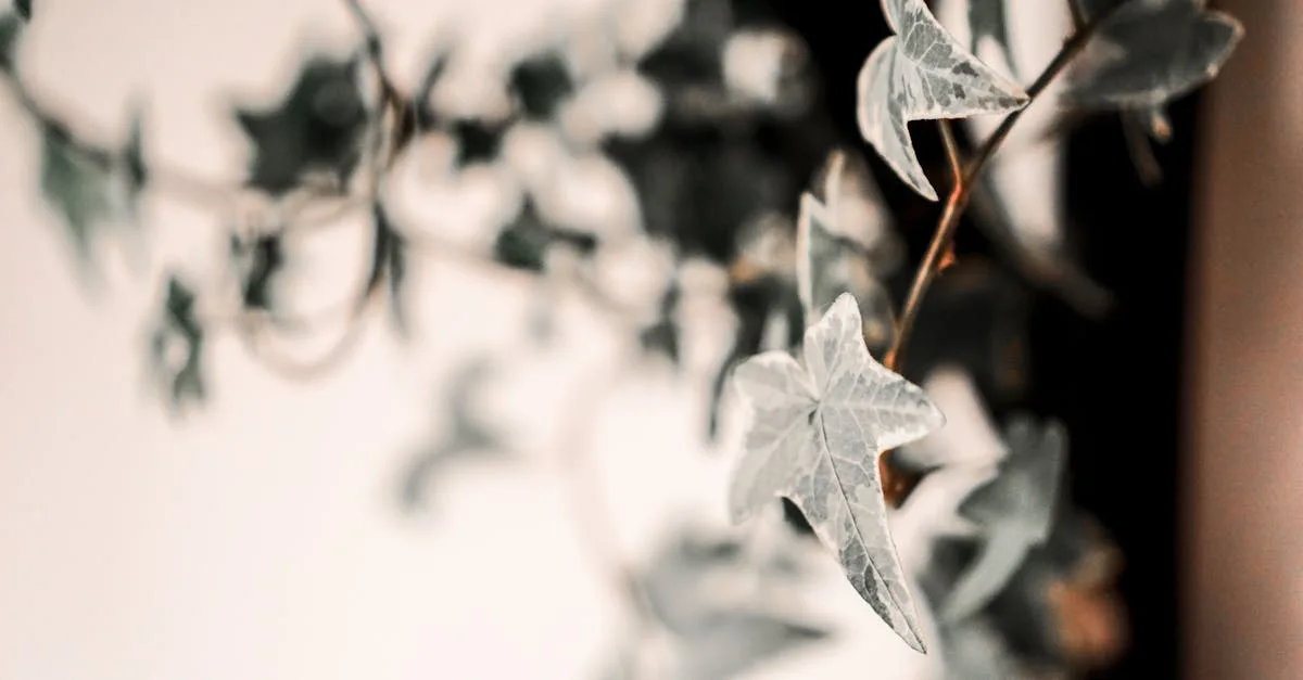 découvrez comment aménager un jardin vertical d'intérieur pour embellir votre espace, purifier l'air et cultiver des plantes toute l'année de manière innovante et décorative.