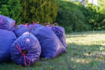 découvrez nos conseils pratiques pour l'entretien de votre haie de laurier : taille, arrosage, fertilisation et astuces pour garder votre haie dense et en bonne santé toute l'année.