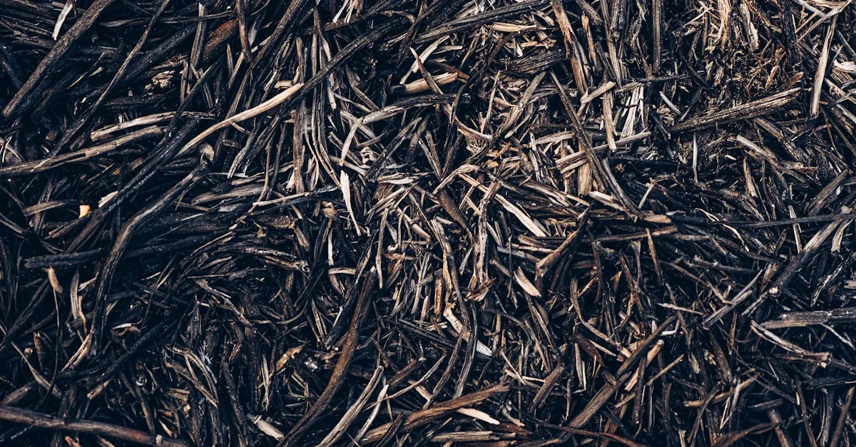 découvrez tout ce qu'il faut savoir sur le mulch : ses avantages pour le jardin, les différents types de paillis, et des conseils pour bien l'utiliser afin d'améliorer la santé de vos plantes et réduire l'entretien.