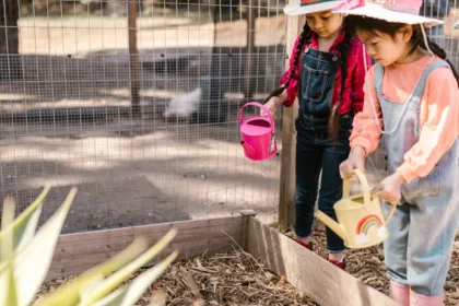 découvrez tout sur le mulch : ses bienfaits, son utilisation au jardin, les différents types de paillis et conseils pratiques pour protéger vos plantes et améliorer votre sol.