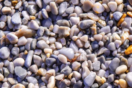 inconvénients allée en gravier