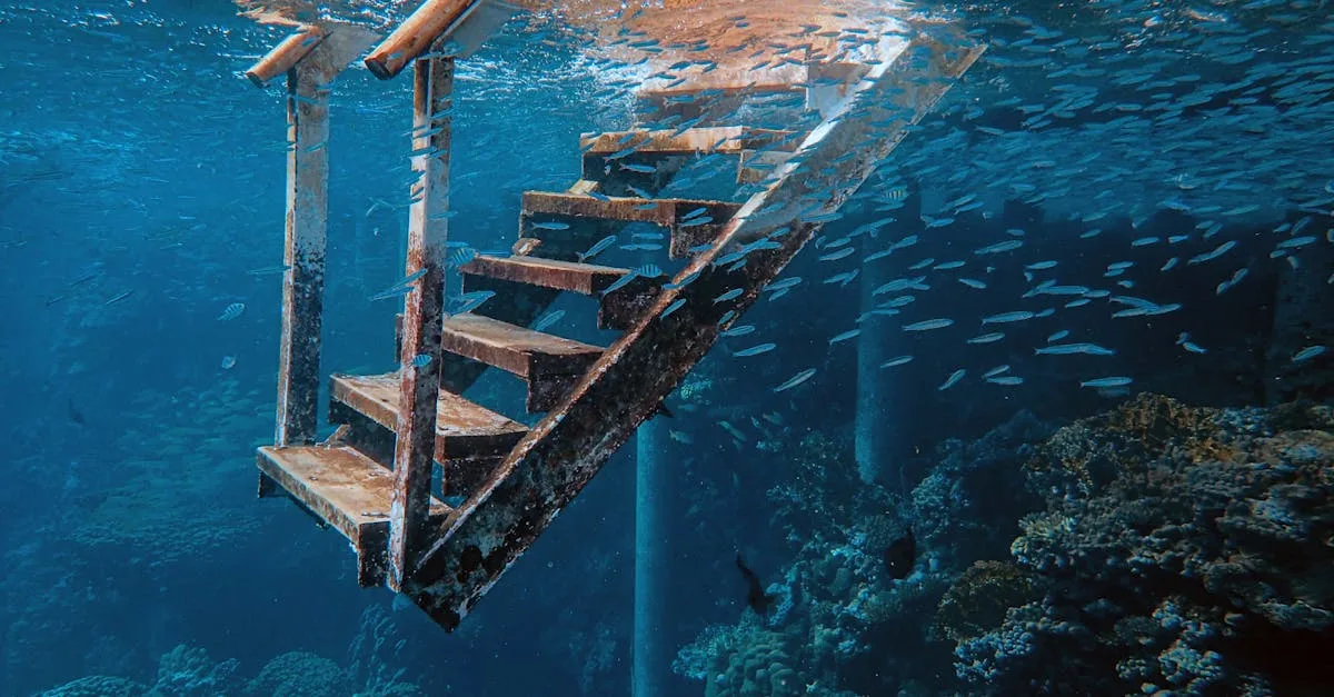 découvrez tout sur les échelles (ladder) : utilisations, types, conseils de sécurité et astuces pour choisir l’échelle adaptée à vos besoins à la maison ou sur un chantier.