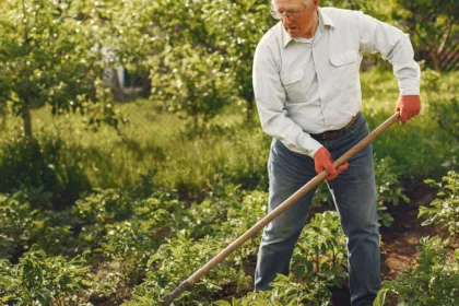 découvrez les méthodes de désherbage naturel pour un jardin sain et écologique. astuces, conseils et alternatives pour éliminer les mauvaises herbes sans produits chimiques.