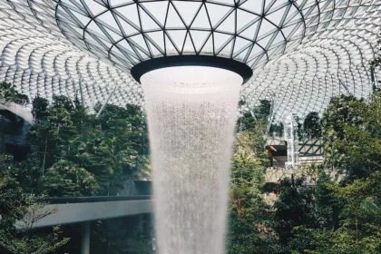 découvrez comment un récupérateur d'eau de pluie permet d'économiser l'eau potable, d'arroser votre jardin et de protéger l'environnement grâce à une solution durable et simple à installer.